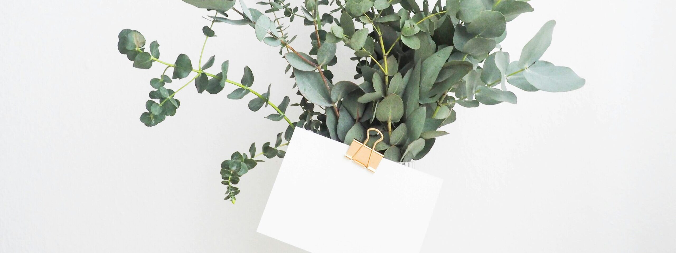 Career Counseling in Eugene, OR