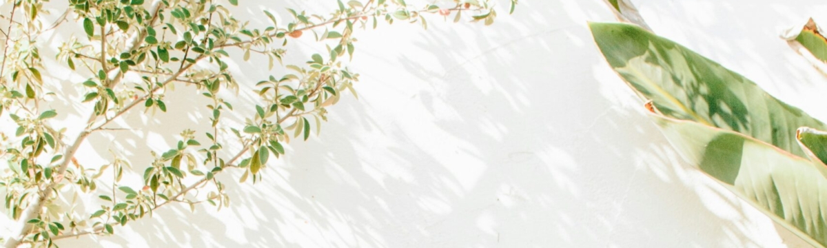 Dissociative Identity Disorder Therapy in Eugene, OR