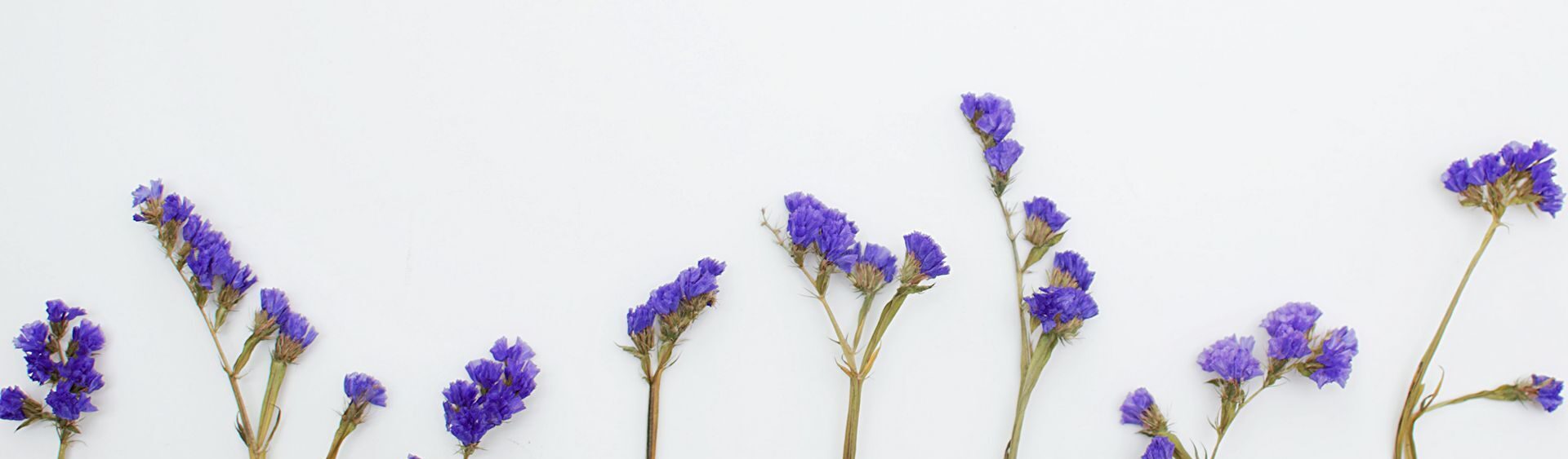 Acceptance and Commitment Therapy (ACT) in Eugene, OR