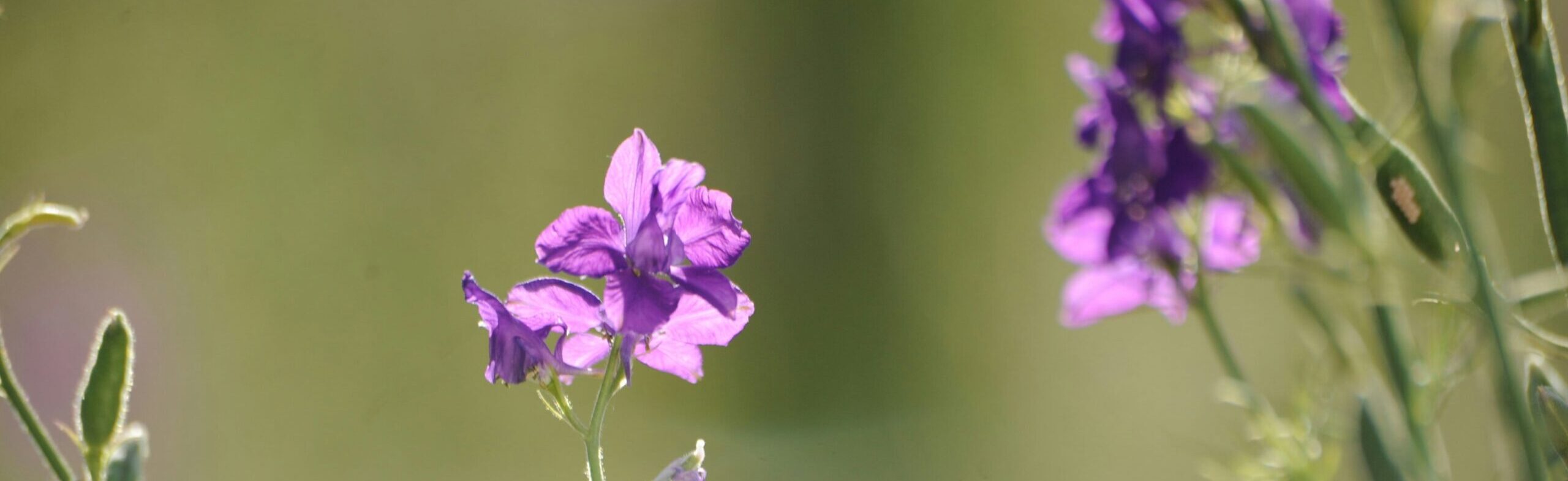Therapy for New Mothers in Eugene, OR