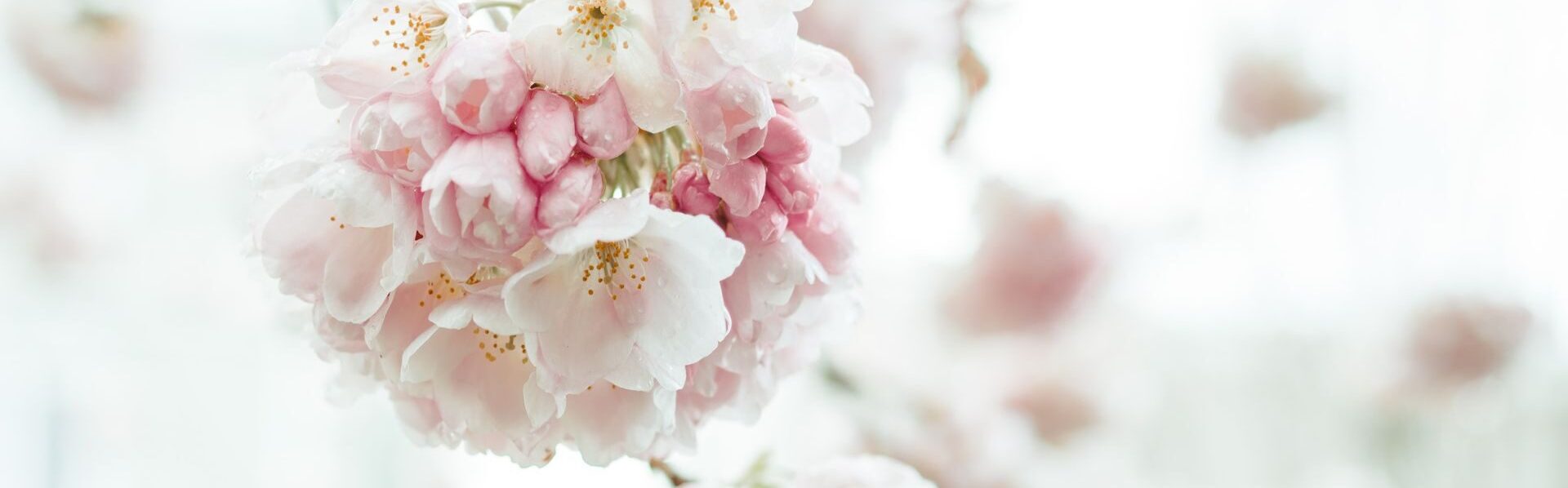 Emotion-Focused Therapy in Eugene, OR