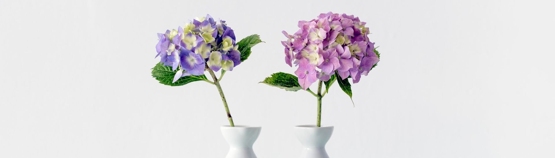 FAQs About Therapy & Counseling in Eugene, OR
