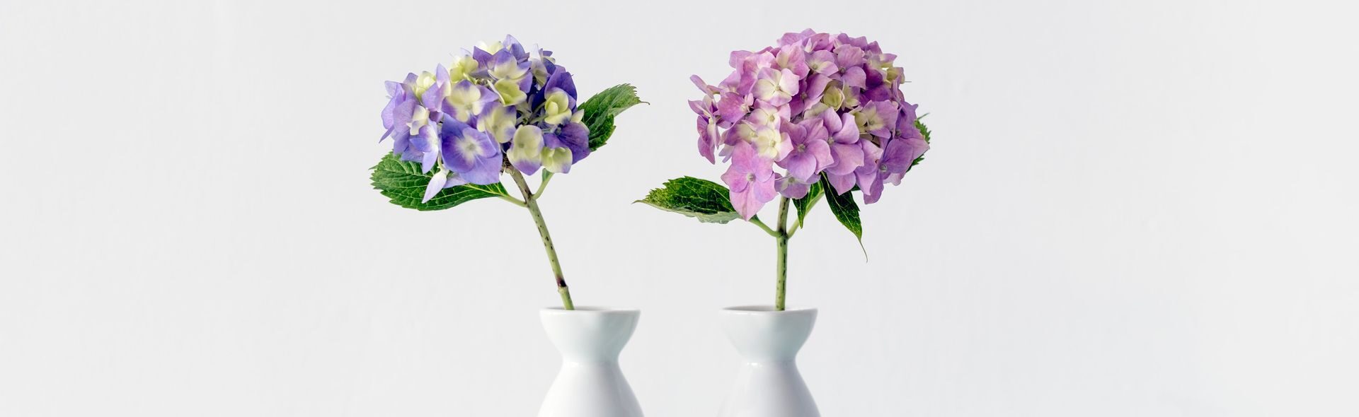 Play Therapy in Eugene, OR