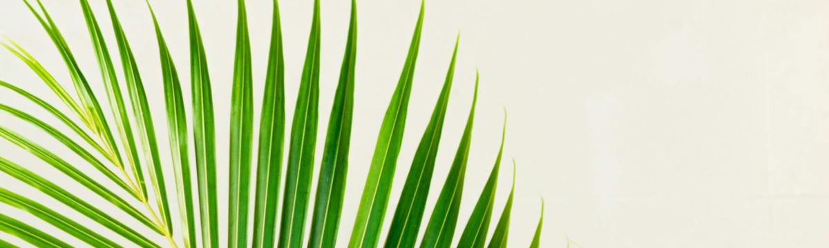 Therapy for Low Self-Esteem Available in Eugene, OR