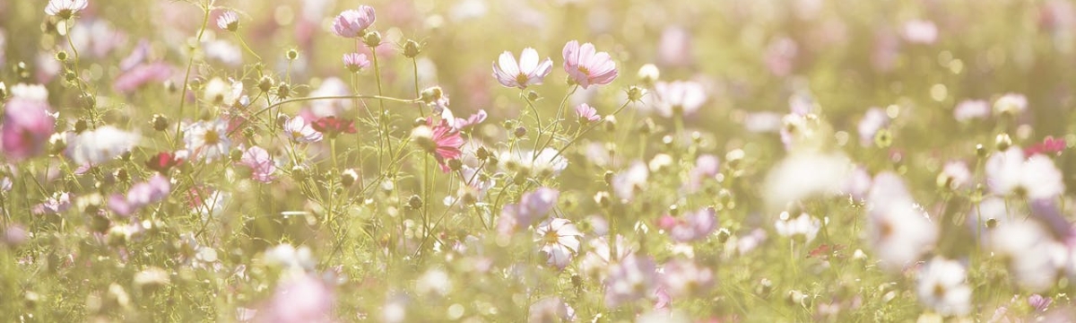 Therapy for Children in Eugene, OR