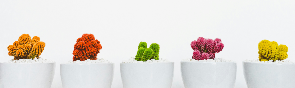 Resilience With Therapy for Chronic Illness in Eugene, OR