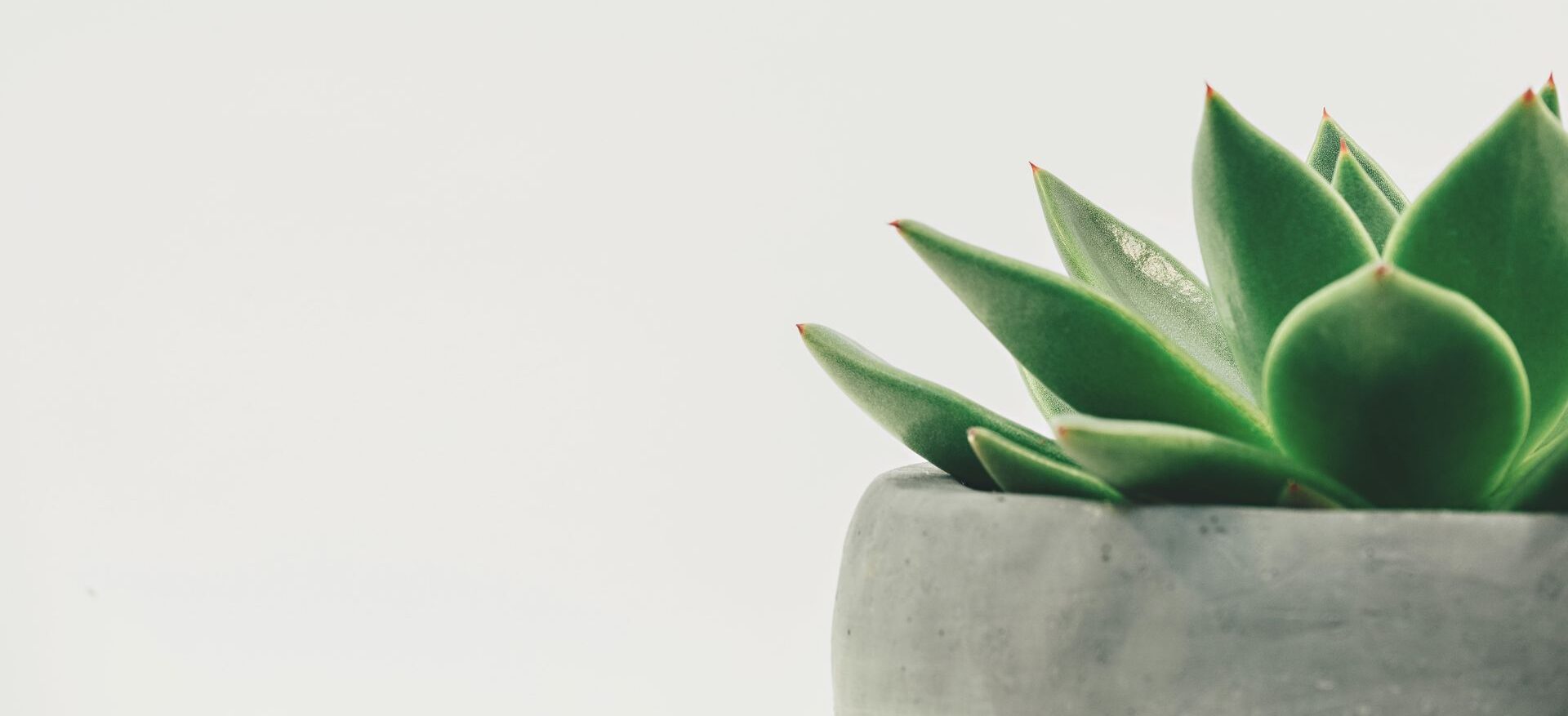 Professional Therapy & Counseling for Anxiety in Eugene, OR