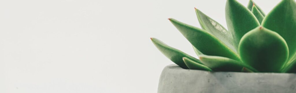 Professional Therapy & Counseling for Anxiety in Eugene, OR