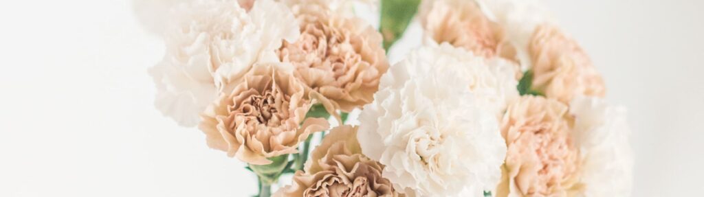 Conflict Resolution Therapy in Eugene, OR