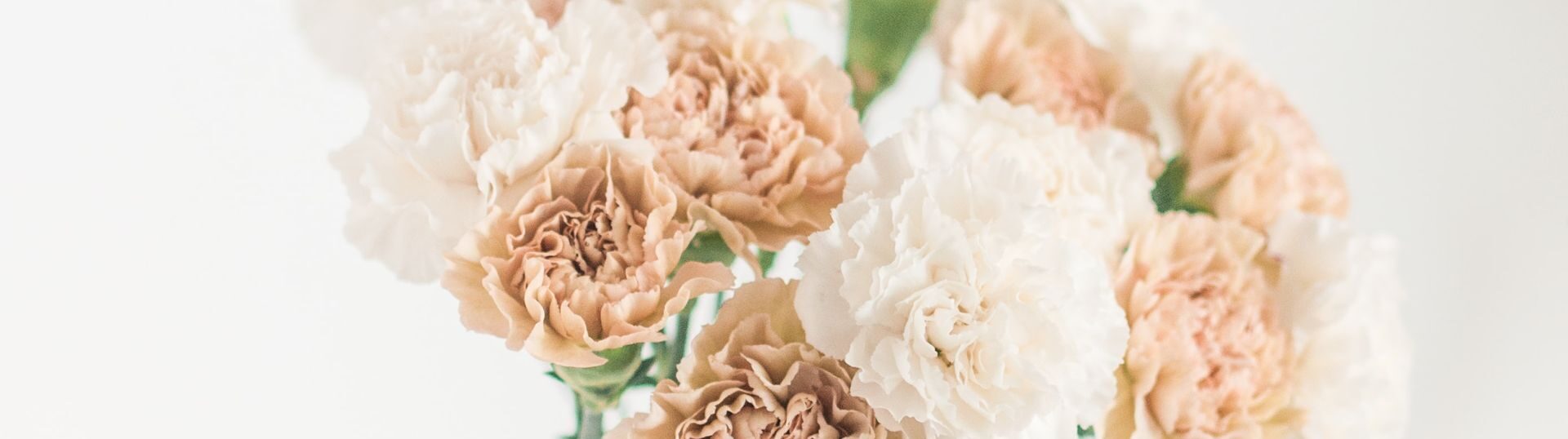 Conflict Resolution Therapy in Eugene, OR