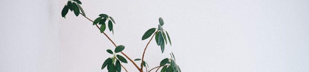 Therapy for Disordered Eating in Eugene, OR