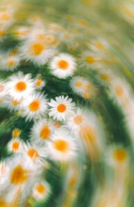 Can Anxiety Cause Dizziness? Why You Feel Lightheaded and How to Find Relief